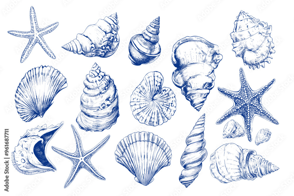 Minimalist hand drawn seashells vector illustration collection. Art for ...