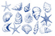 © The Illustraitor - Minimalist hand drawn seashells vector illustration collection. Art for greeting cards, wedding invitations, poster design, postcards, branding, logo design, background