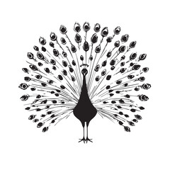 Peacock in cartoon, doodle style . Image for t-shirt, web, mobile apps and ui. Isolated 2d vector illustration in logo, icon, sketch style, Eps 10, black and white. AI Generative