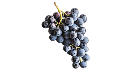 Wall Mural - cluster of grapes isolated on transparent background