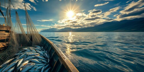 fishing boat in net fish catch