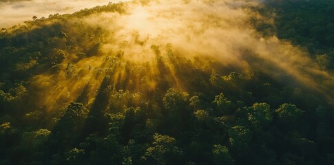 Poster - Graphic Art. Stocke. Beautiful green Amazon forest landscape at sunset sunrise. Adventure explore air dron view vibe.