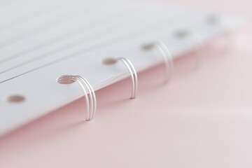 Poster - The lines of the paper are on a pink background, and the pages are blank