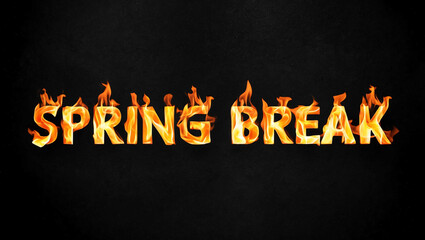 Wall Mural - spring break word made of fire flame on black background