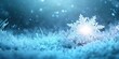 © Murda - A glowing snowflake in a frosty field.