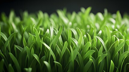 Canvas Print - Close-up of Lush Green Grass