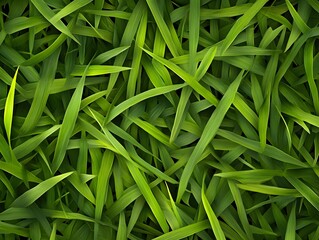 Canvas Print - Close-up of Lush Green Grass Blades