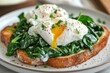 © LimeSky - Spinach and poached egg toast with creamy sauce on plate