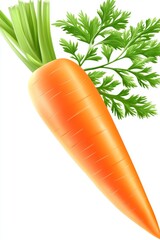 Wall Mural - Illustration of carrots in modern style. Isolated image of carrots in realistic style.