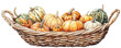 © Soulstarry  - A vibrant basket filled with various pumpkins showcasing autumn colors, with transparent background