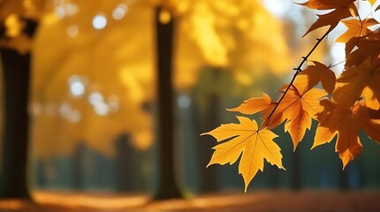 Wall Mural - hintergrund herbstkarte