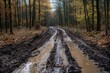 © LimeSky - Unpassable muddy forest track off the road