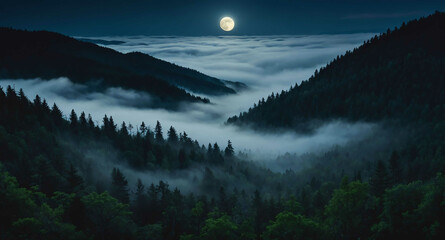 Sticker - Fog rolling over moonlit forest background