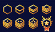 © Pro_Art - Set of game rank icons isolated. Military game ranking badge set with star insignia