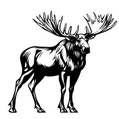 Deer Vector