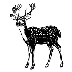 Deer Vector