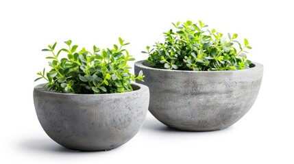 Sticker - Isolated concrete plant pots with clipping path on white background