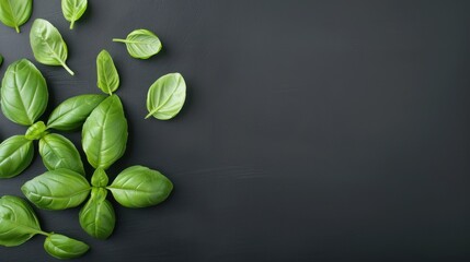 A black background with a bunch of green leaves on it