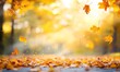 © Sevinj	 - An autumn park with leaves covering the ground, sunlight peeking through the trees, and yellow maple leaves scattered about. AI generated illustration