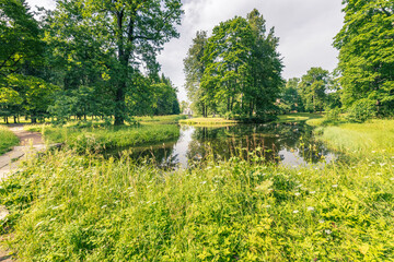 Wall Mural - a lush green field with a pond in the middle