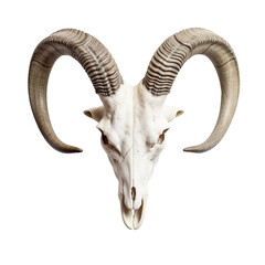 Wall Mural - goat skull isolated on transparent and white background