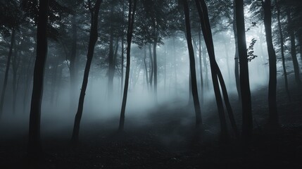 Canvas Print - A cinematic shot of a haunted forest, with fog rising from the ground and eerie shadows moving in the trees