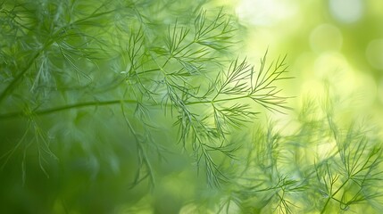 Poster -   A sharp focus on a lush green foliage with a soft background