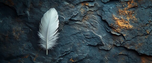 Wall Mural - Single white feather resting on textured dark grey stone.