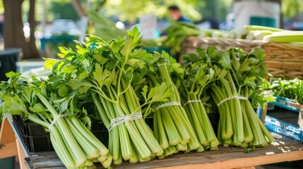 A bunch of celery is displayed on a wooden table