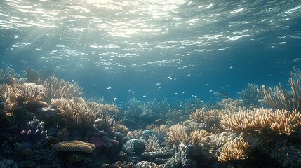 Sticker -   An underwater perspective showcasing a vibrant coral reef teeming with various corals adorning the ocean floor