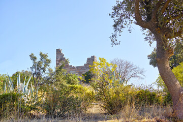 History, stone and wall with ruins in nature as landmark of ancient building, culture or architecture. Castle, Myndos Gate and sky with medieval Roman structure outdoor in Turkey for civilization