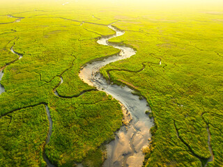Wall Mural - nature from a drone. aerial view of a meandering river in a field. scene from air. landscape during 