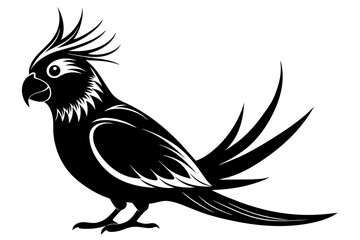 Wall Mural - Cockatiel silhouette black color vector art illustration 