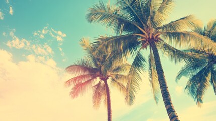 Tropical Palm Trees Against a Blue Sky