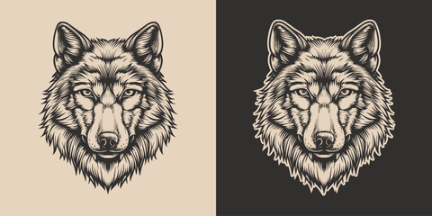 Wall Mural - Vintage retro engraving woodcut style sketch draw paint of head face portrait wild animal wolf predator illustration