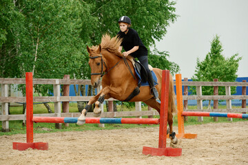 Woman riding brown horse over jumping fence in equestrian center. Trees and sand arena creating an active scene at horse riding facility