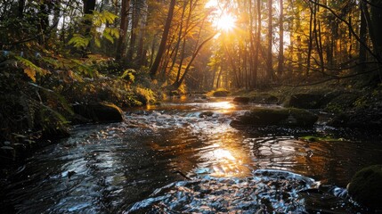 Sticker - A serene scene featuring a stream flowing through a dense forest with numerous trees