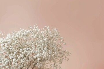 Poster - A still life photo of a vase filled with baby's breath flowers set against a soft pink background
