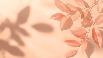 Wall Mural - Natural trendy background with shadows from leaves in Peach color peach color Pastel Beige Orange.
