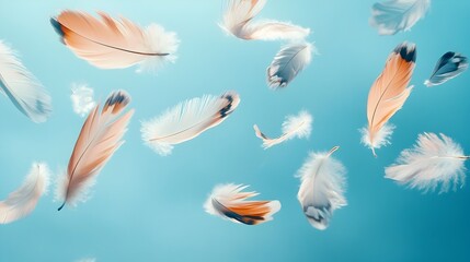 Poster - Conceptual image of colorful feathers of various sizes gently floating and suspended in the air creating a serene and ethereal atmosphere  Minimal natural and design