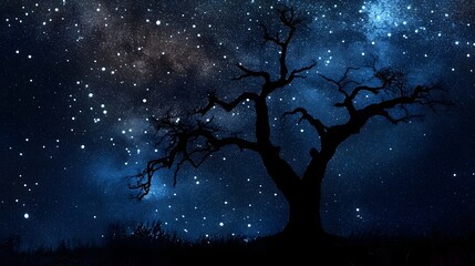 Poster - Silhouetted Dead Tree Against a Starry Night Sky   A Conceptual Landscape Photograph Depicting the Solitary Outline of a Lifeless Tree Set Against a Dramatic Celestial Background