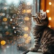 © Dipsky - A mesmerized kitten with fluffy white fur and big round eyes sits by the window, enchanted by heavy raindrops falling outside. The warm light bathes the scene, creating a cozy atmosphere.