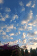 © Anastasia Studio - Beautiful cloudy sky at sunset