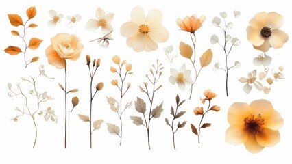 Poster - A collection of flowers in various colors and sizes