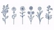 © Sinechana - 139. Vector icon set of medical flowers like rose, violet, jasmine, calendula, echinacea, iris, and chamomile, designed with simple outline signs and pixel-perfect editable strokes, perfect for