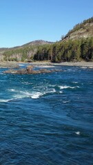 Fototapete - Vertical drone low-altitude flight video of Altai natural landscape with Katun river.