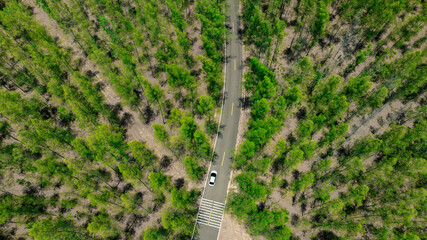 Aerial view of dark green forest road and white electric car Natural landscape and elevated roads Adventure travel and transportation and environmental protection concept
