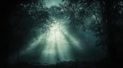 Wall Mural - Mystical Forest Path Illuminated by Ethereal Light