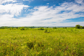 Meadow Landscape Background