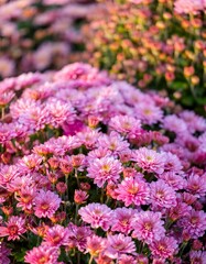 New flowers in a sunny spring day